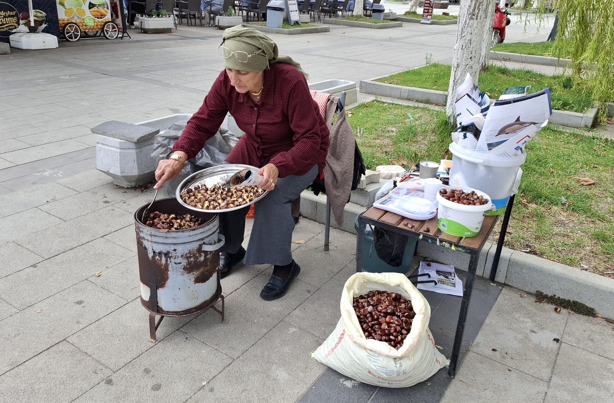 Sinop’ta olumlu geçen mevsim şartlarının kestane rekoltesini artırması bekleniyor