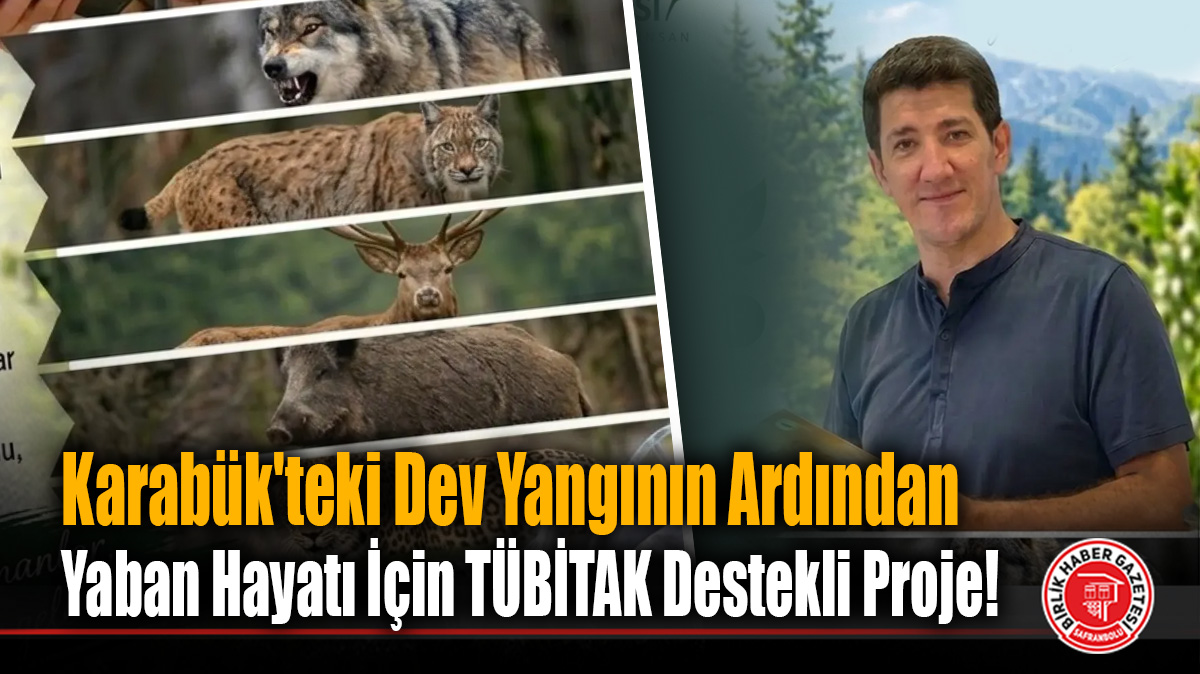 Karabük’teki Dev Yangının Ardından Yaban Hayatı İçin TÜBİTAK Destekli Proje!