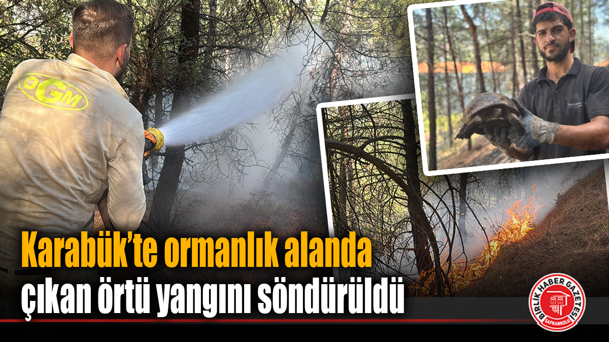 Karabük’te ormanlık alanda çıkan örtü yangını söndürüldü