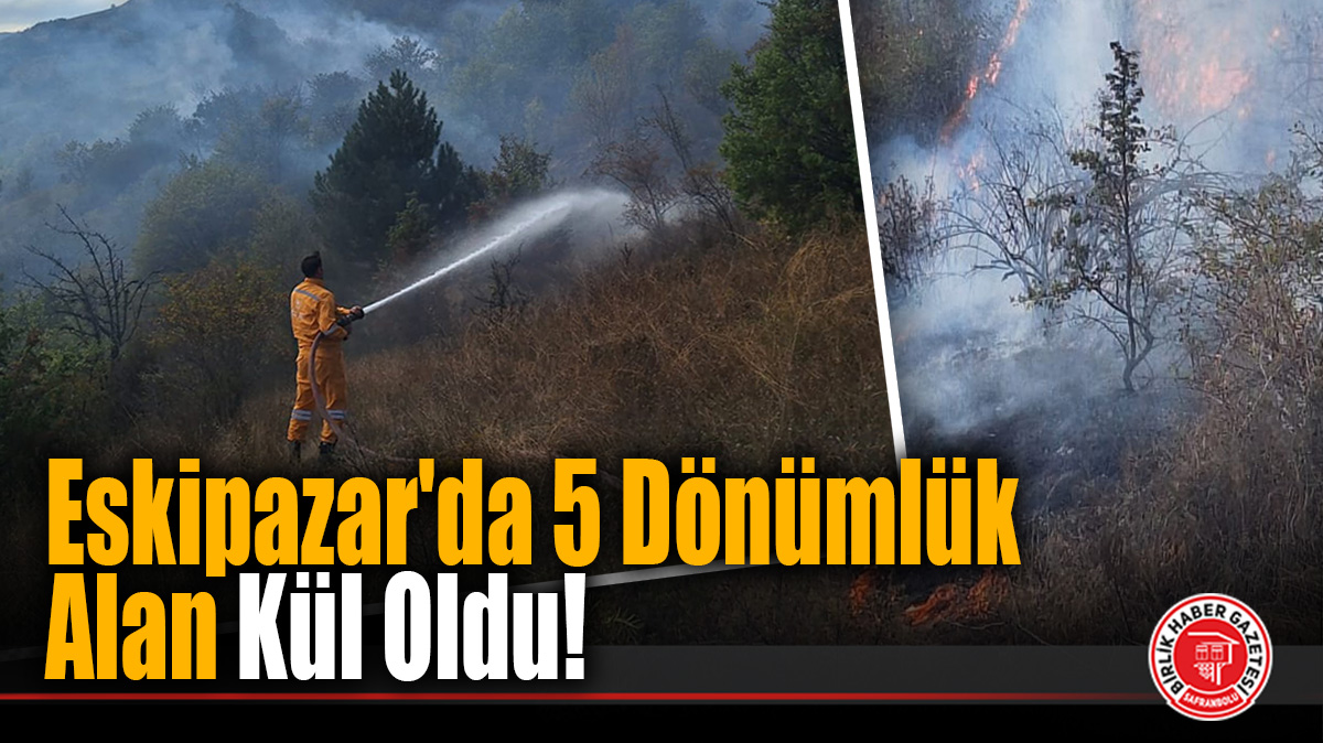 Karabük’te otluk alanda çıkan yangın söndürüldü