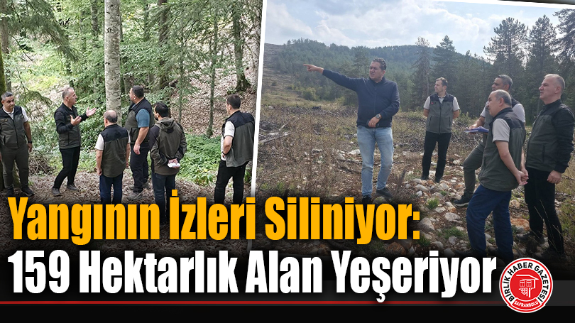 Yangının İzleri Siliniyor: 159 Hektarlık Alan Yeşeriyor