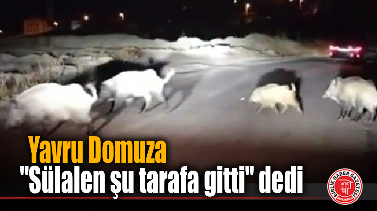 Yavru Domuza “Sülale” Tarifi Gülümsetti