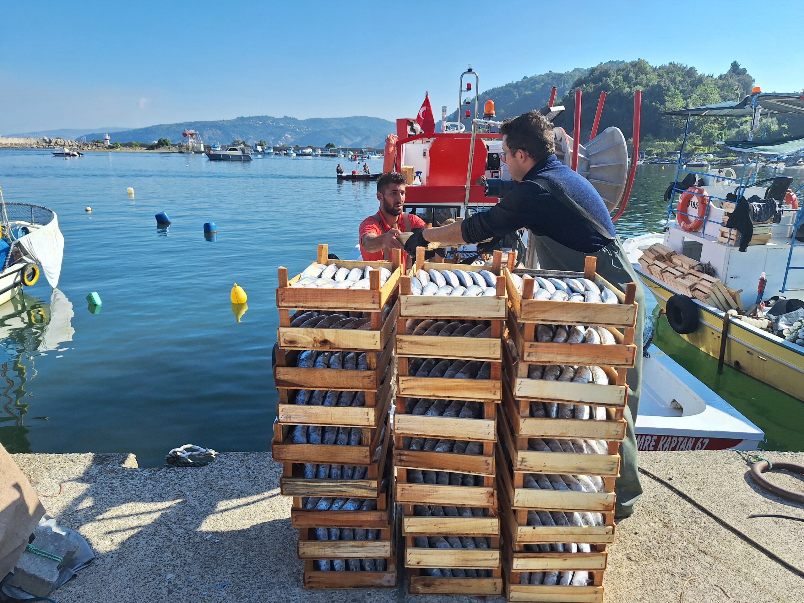 Zonguldak’ta balıkçılar, sezonun ilk gününde yaklaşık 50 ton palamutla döndü