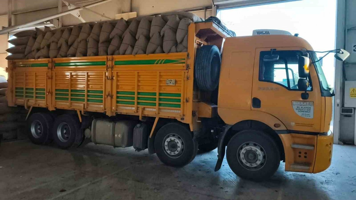 Kastamonu’da fındık üreticisinden 100 tonun üzerinde fındık aldı
