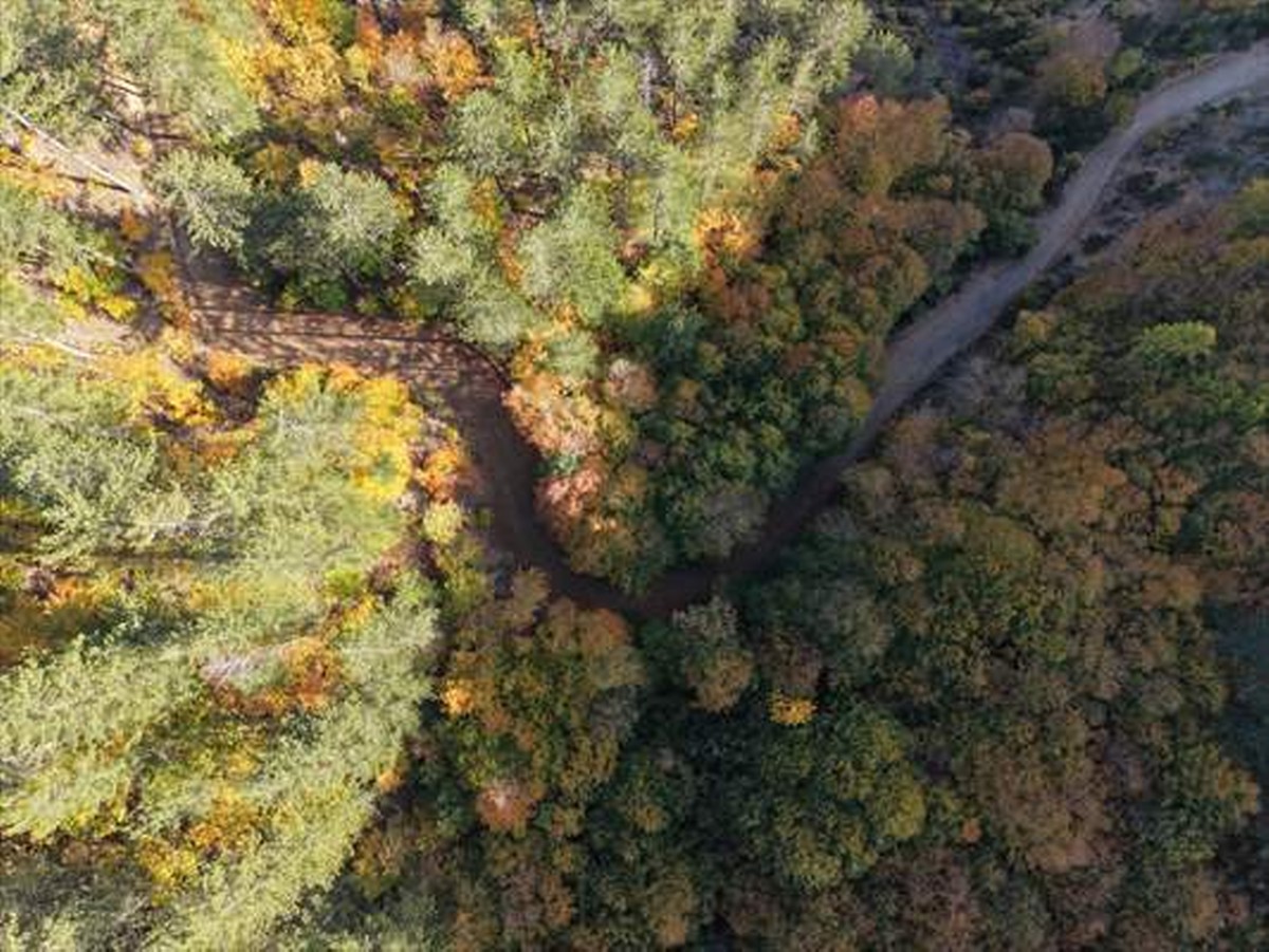 “Anadolu’nun yüce dağı” Ilgaz’ın sonbaharı fotoğrafçıların ilgisini çekiyor