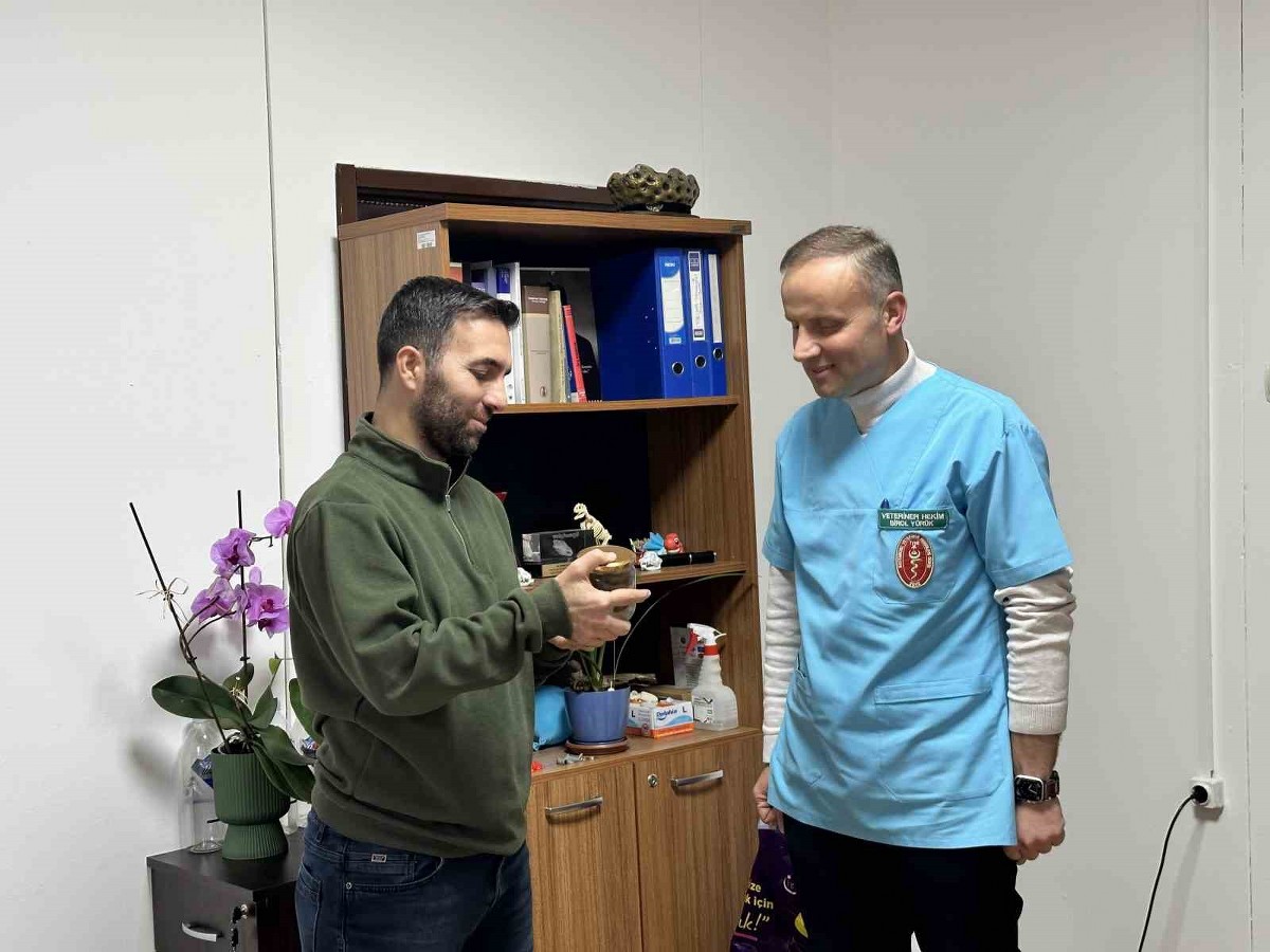 Ölmek üzere olan ineğin boğazından çıkartılan armut, üniversite öğrencilerine anlatılacak