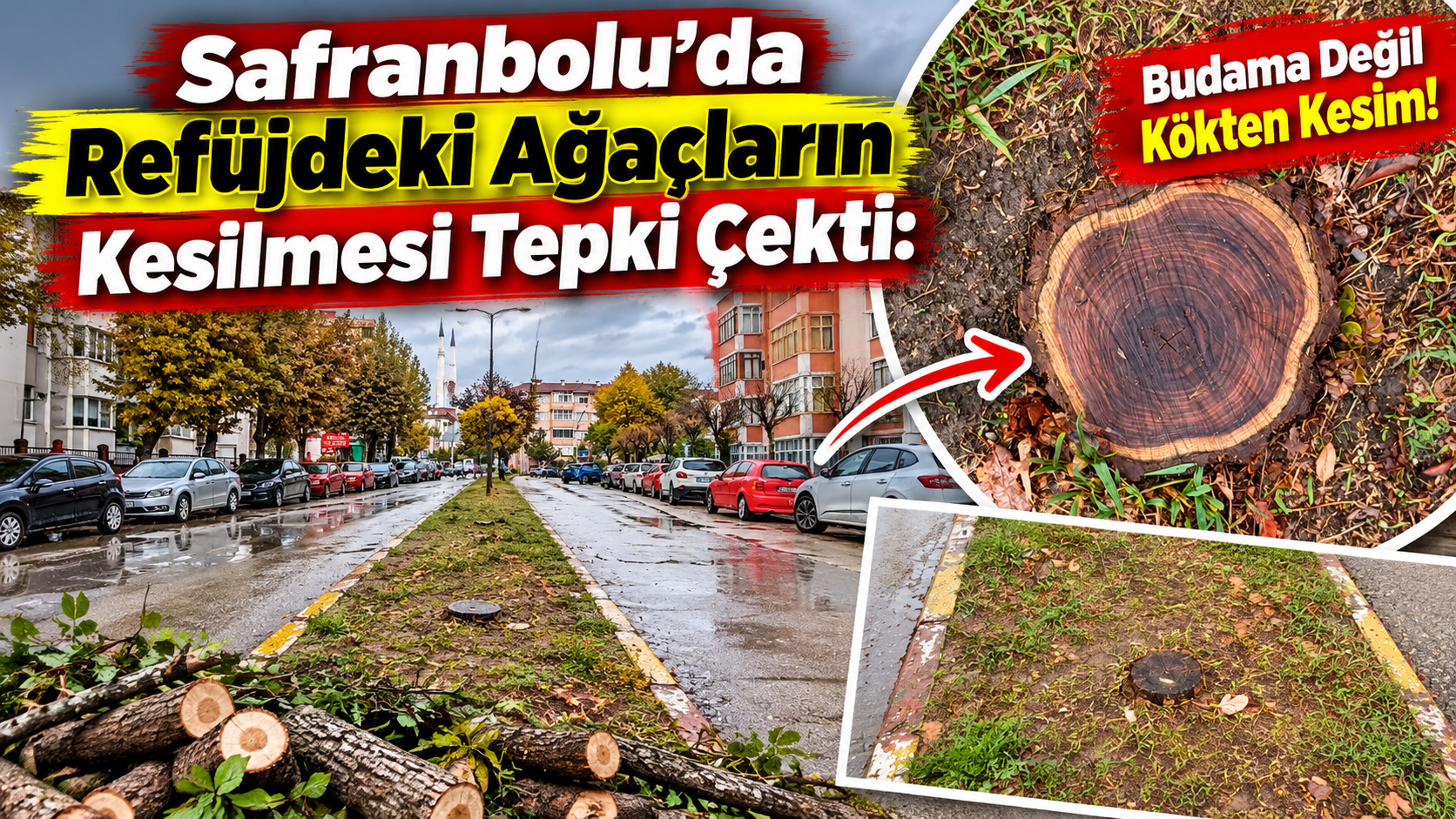 Safranbolu Flamingo Yolu’nda Ağaç Kesimi Tepki Çekti: Vatandaşlar Yetkililerden Açıklama Bekliyor!