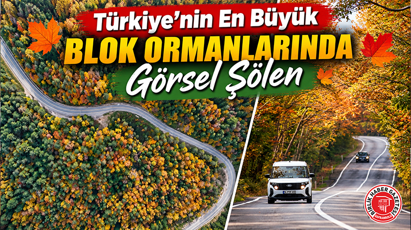 Türkiye’nin En Büyük Blok Ormanlarında Görsel Şölen