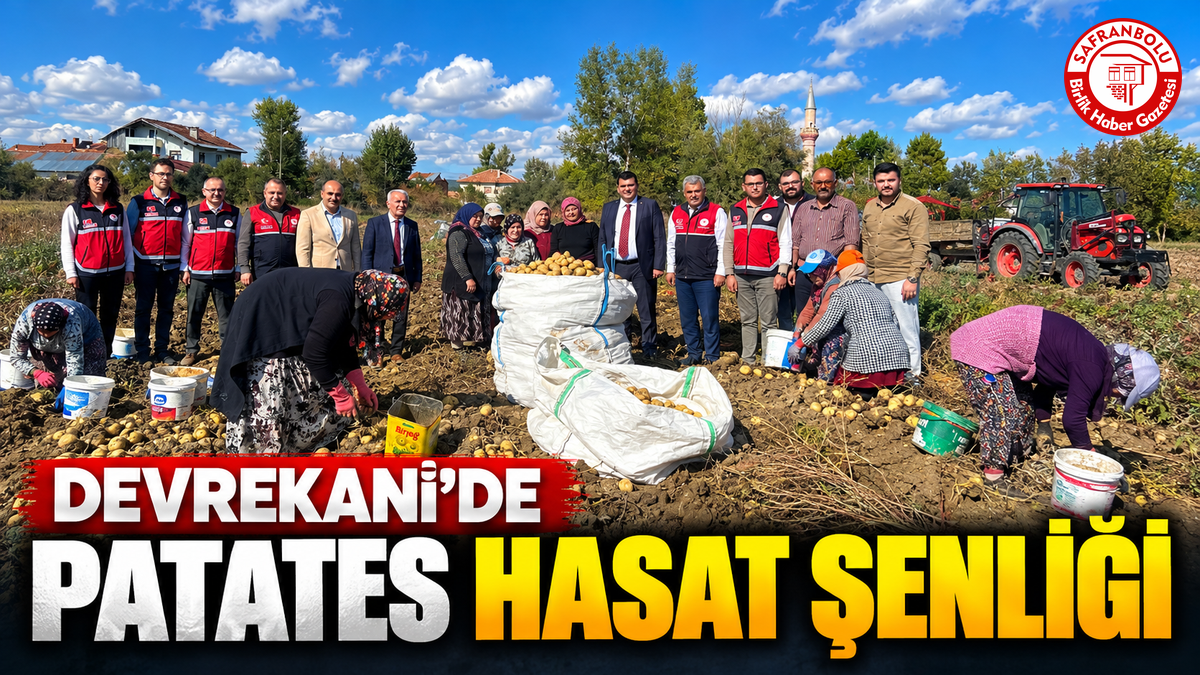 Devrekani’de Patates Hasat Şenliği
