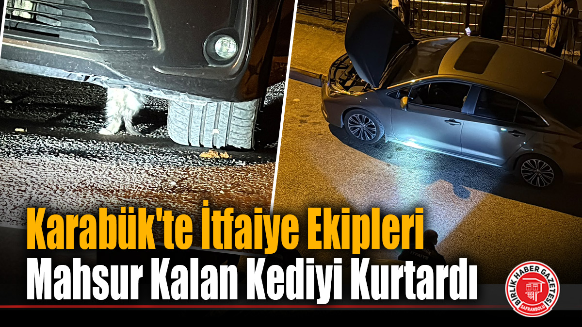 Karabük’te İtfaiye Ekipleri Mahsur Kalan Kediyi Kurtardı
