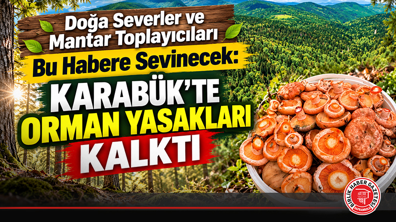 Doğa Severler ve Mantar Toplayıcıları Bu Habere Sevinecek: Karabük’te Orman Yasakları Kalktı