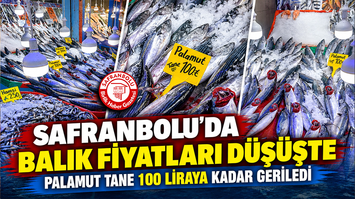 Safranbolu Balık Halinde Palamut Tanesi 100 Liraya Kadar Düştü!