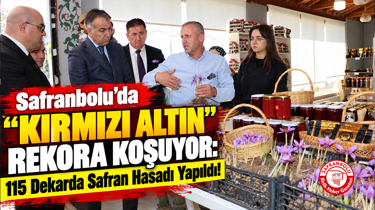 Safranbolu’da Safran Hasadı Yapıldı: Rekolte 56 Kilogram