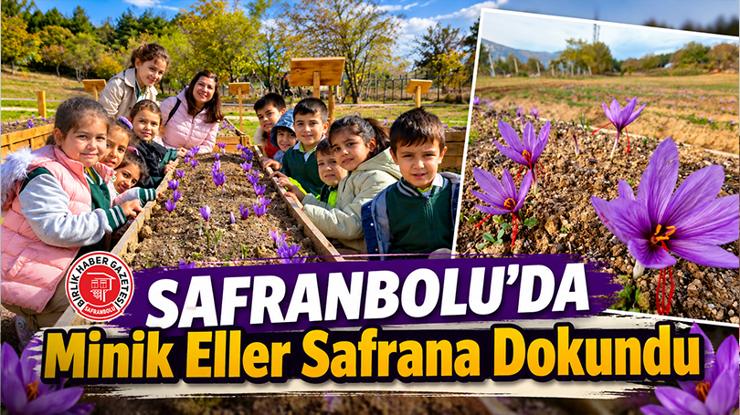Safranbolu’da Minik Eller Safrana Dokundu