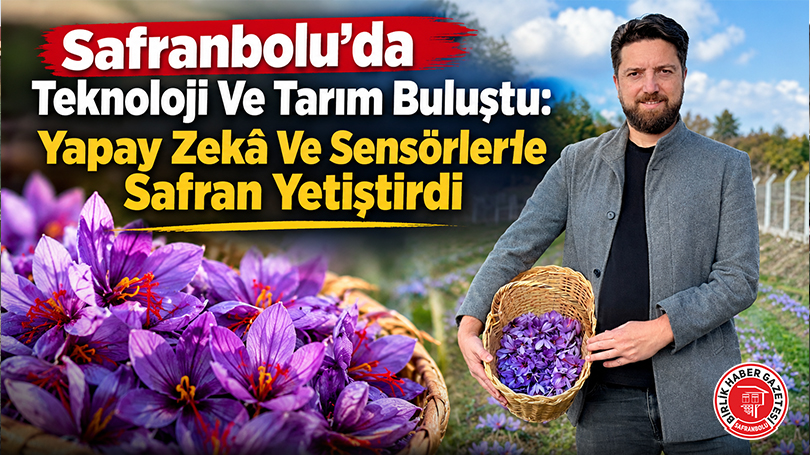 Safranbolu’da Teknoloji Ve Tarım Buluştu: Yapay Zekâ Ve Sensörlerle Safran Yetiştirdi