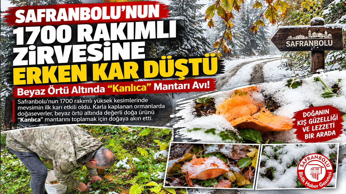 Safranbolu’nun 1700 Rakımlı Zirvesine Erken Kar Düştü: Beyaz Örtü Altında “Kanlıca” Mantarı Avı!