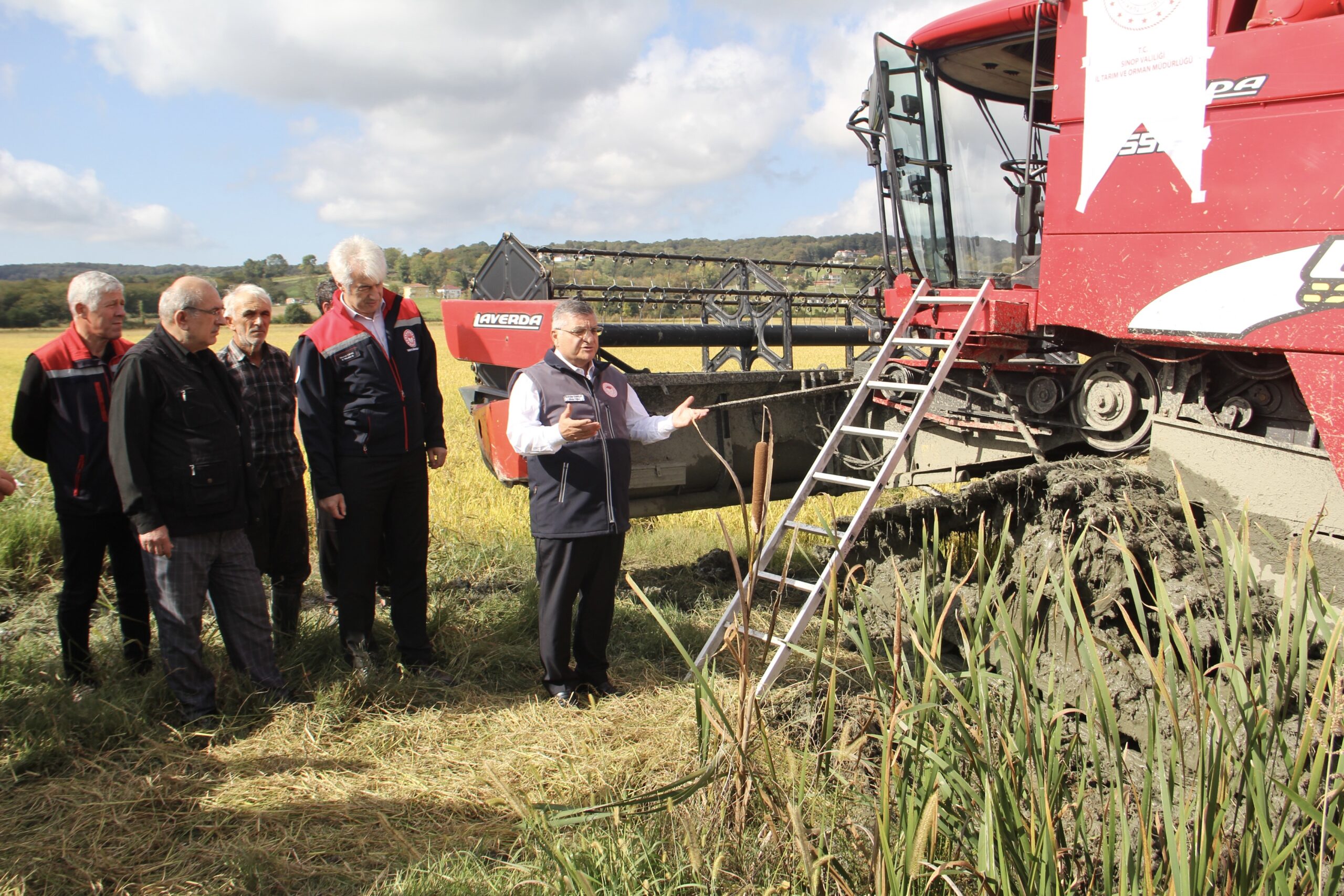 Sinop’ta çiftçiler 40 bin dekar alanda çeltik hasadına devam ediyor