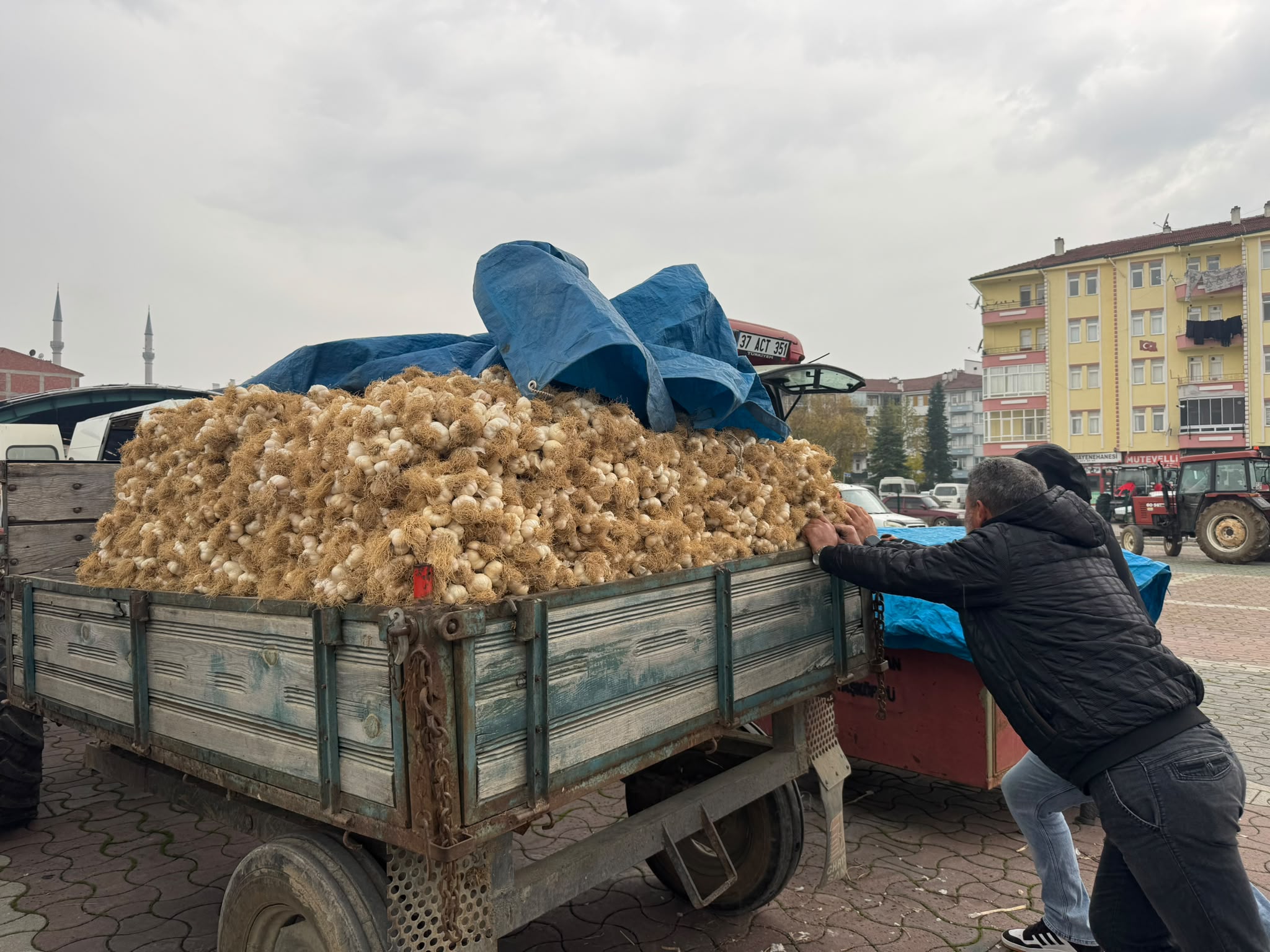 Taşköprü sarımsağı pazarda 20 ile 150 lira arasında alıcı buluyor