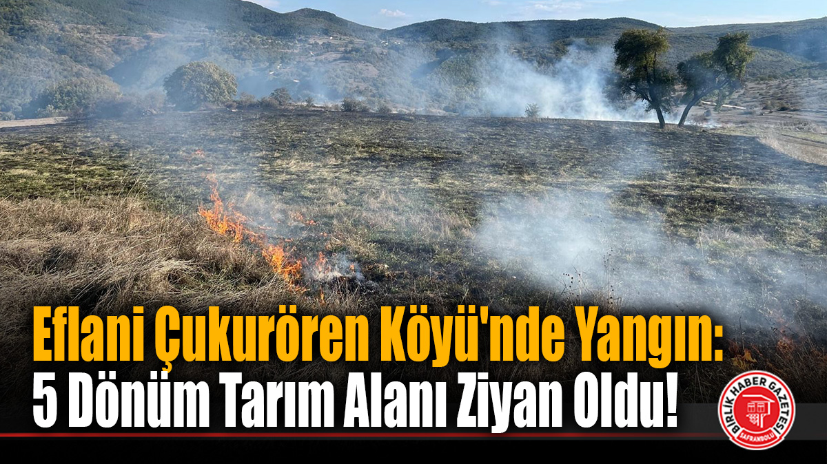Eflani Çukurören Köyü’nde Yangın: 5 Dönüm Tarım Alanı Ziyan Oldu!